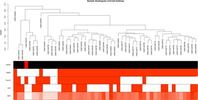 Identification of the Biomarkers and Pathological Process of Osteoarthritis: Weighted Gene Co-expression Network Analysis